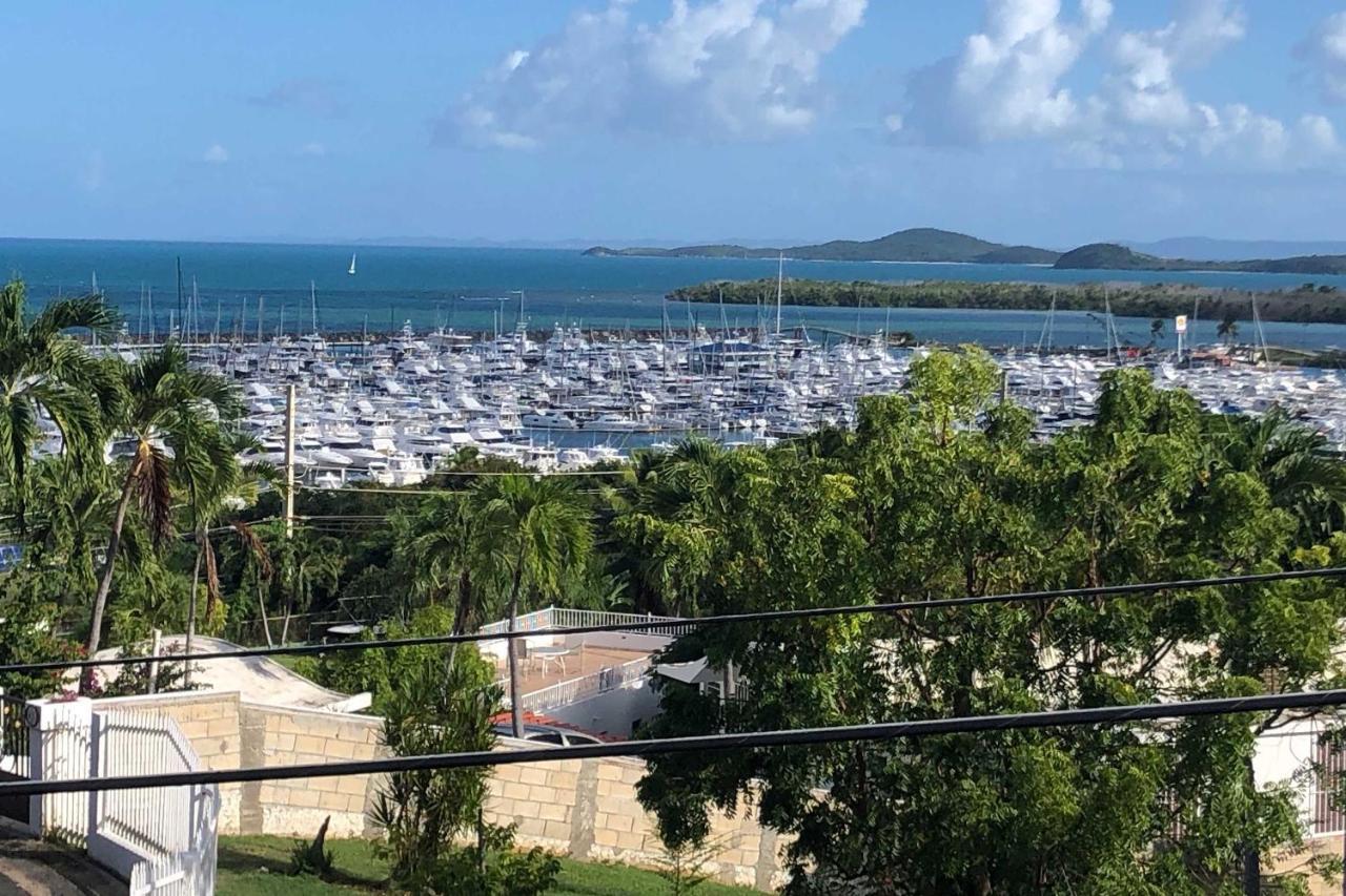 Peaceful Puerto Rico Paradise With Views And Balcony Фахардо Екстер'єр фото